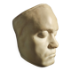 Plaster head