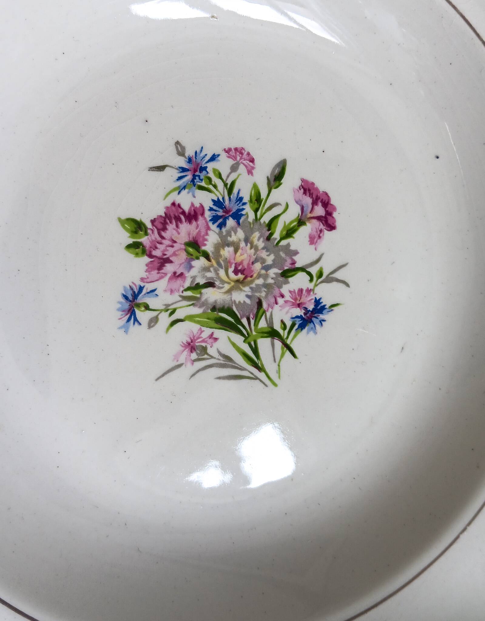 21 Digoin Sarreguemines porcelain soup plates, Nice model