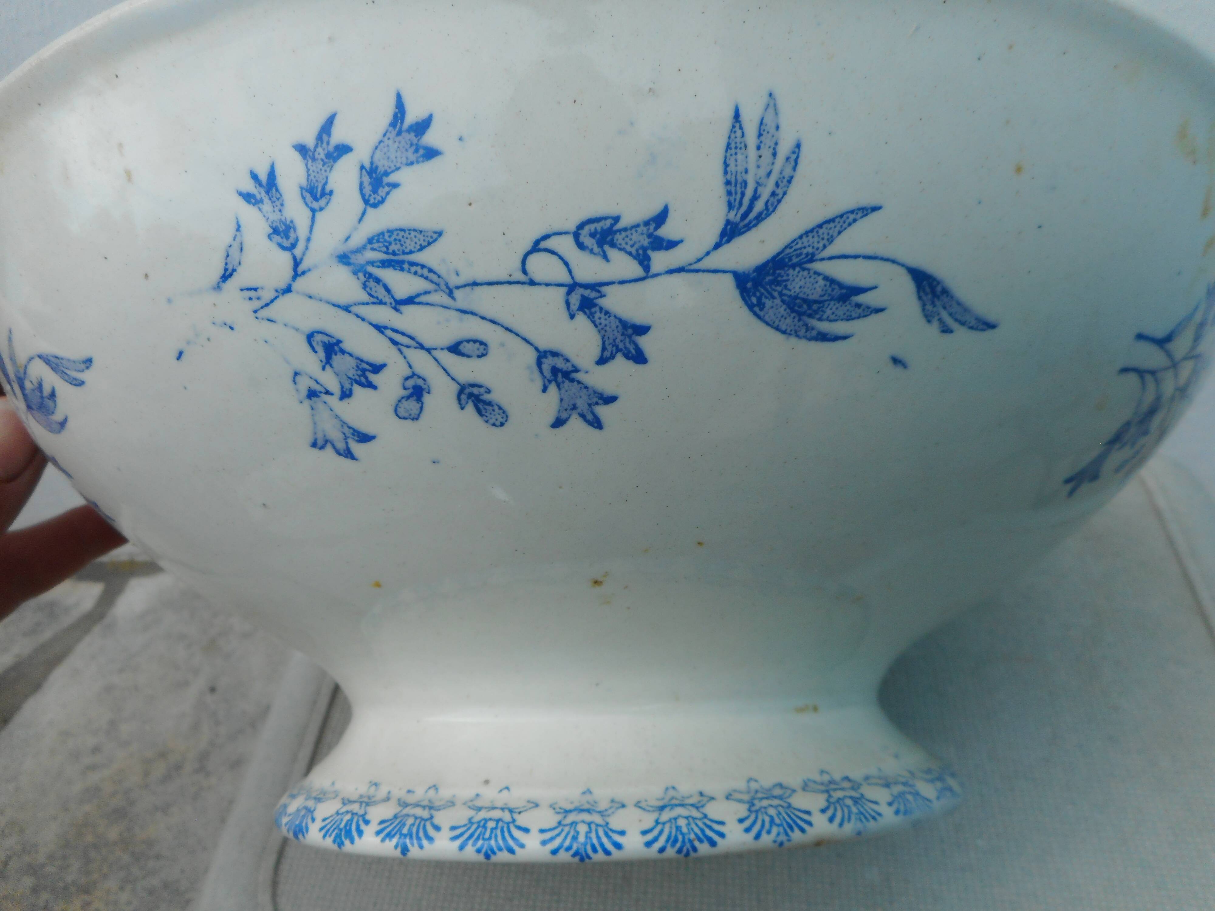 White earthenware salad with blue décor