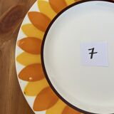 Flat plates model TOURNESOL DIGOIN