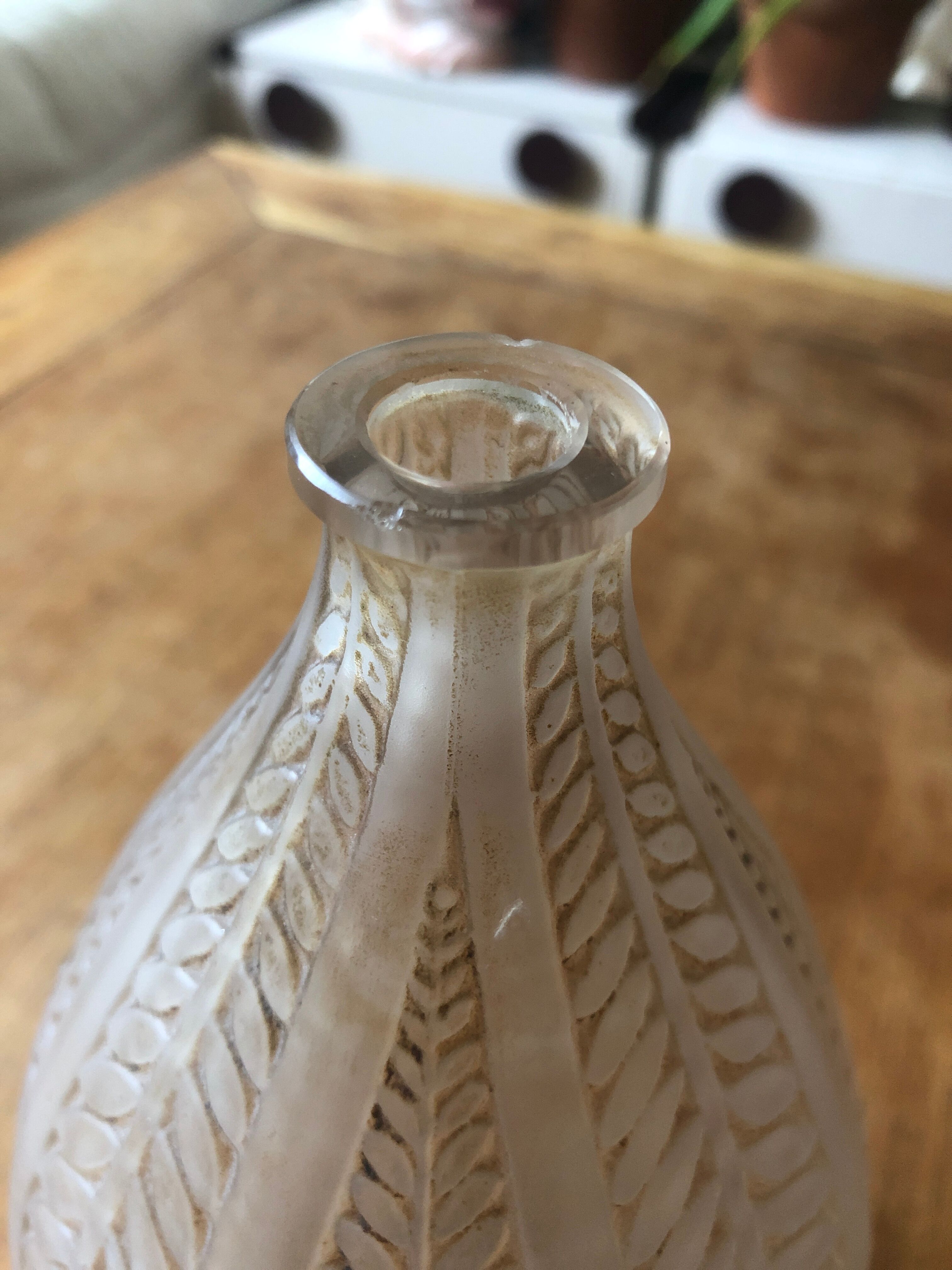 Vase René lalique acacia années 30 signé