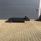 Knoll Barcelona Daybed Black Sabrina leather AS NEW!! Mies van der Rohe