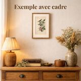 Old engraving from 1839 - Pepper tree - Manually coloured lithograph