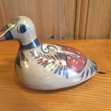 Mexico Duck