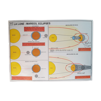 Vintage school poster the moon Rossignol