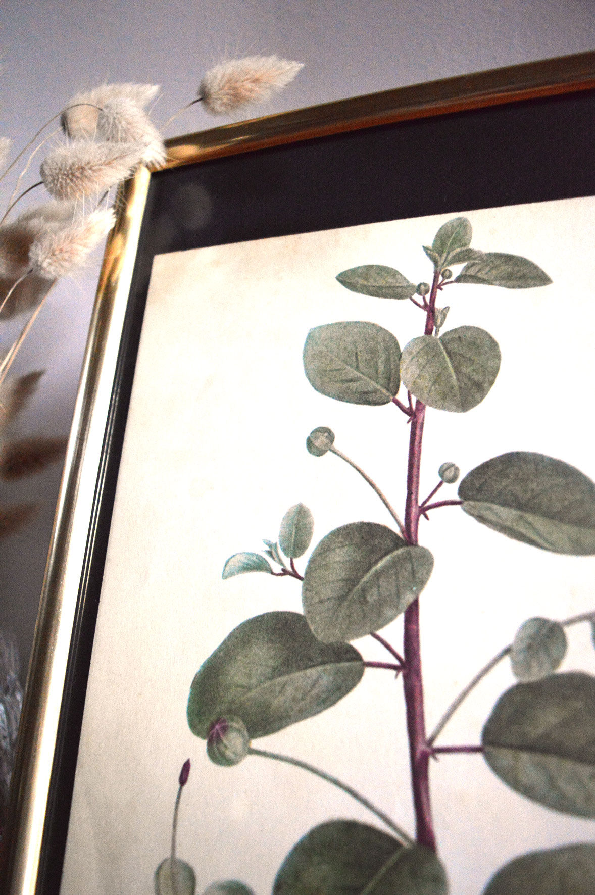 Affiche pharmaceutique encadrée