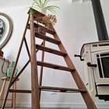 Montana painter's stepladder