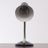 Small Hala Zeist Desk Lamp Holland, 1950s