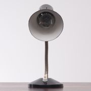 Small Hala Zeist Desk Lamp Holland, 1950s