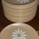 Two plates St Amand, Autumn model