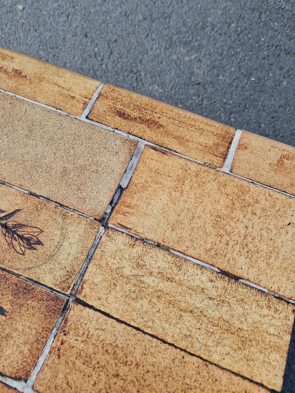 Vintage coffee table by Roger Capron, herbarium model