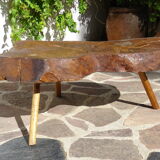 Elm tree trunk coffee table