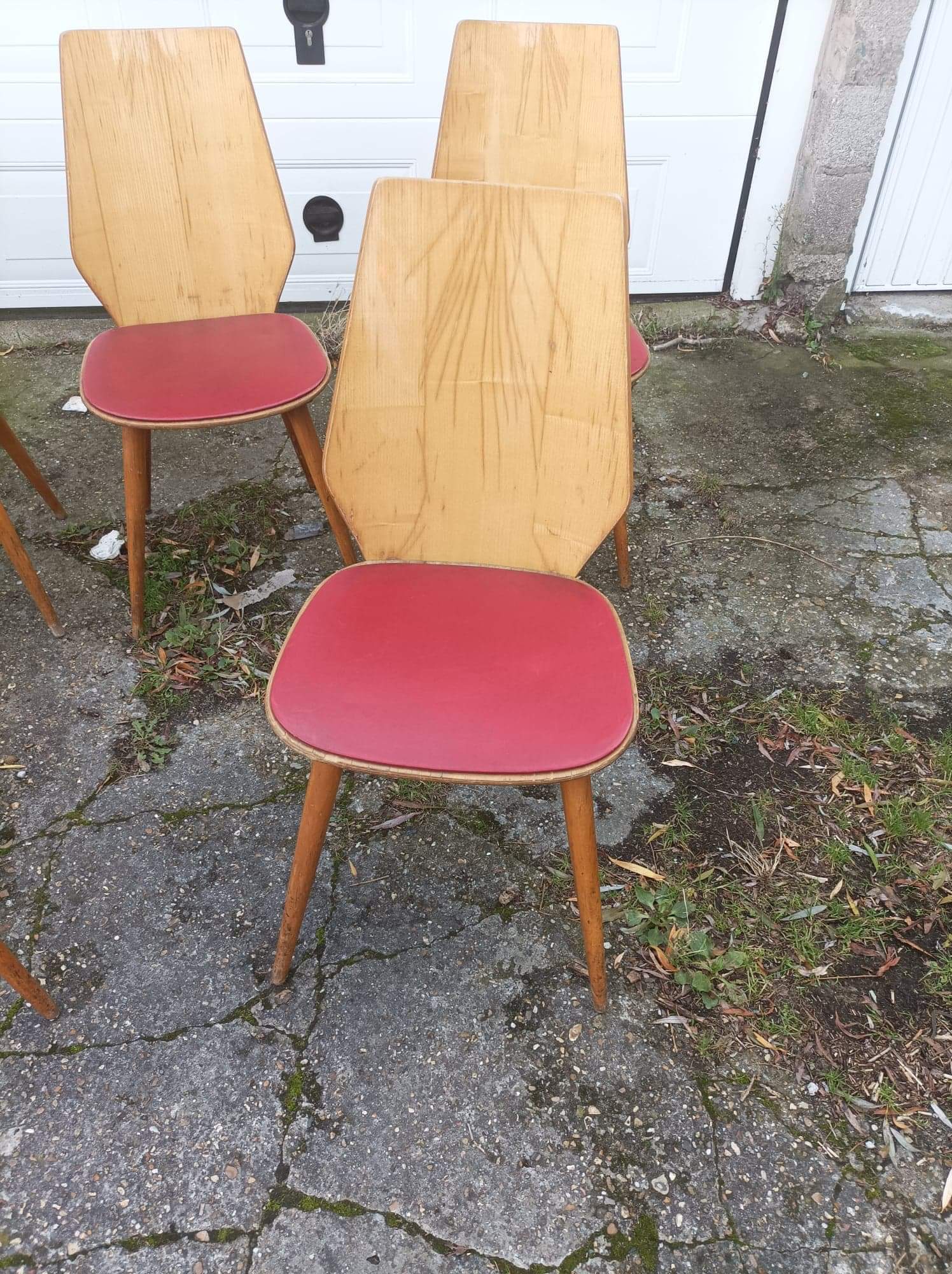6 vintage Baumann chairs by Max Bill 50s