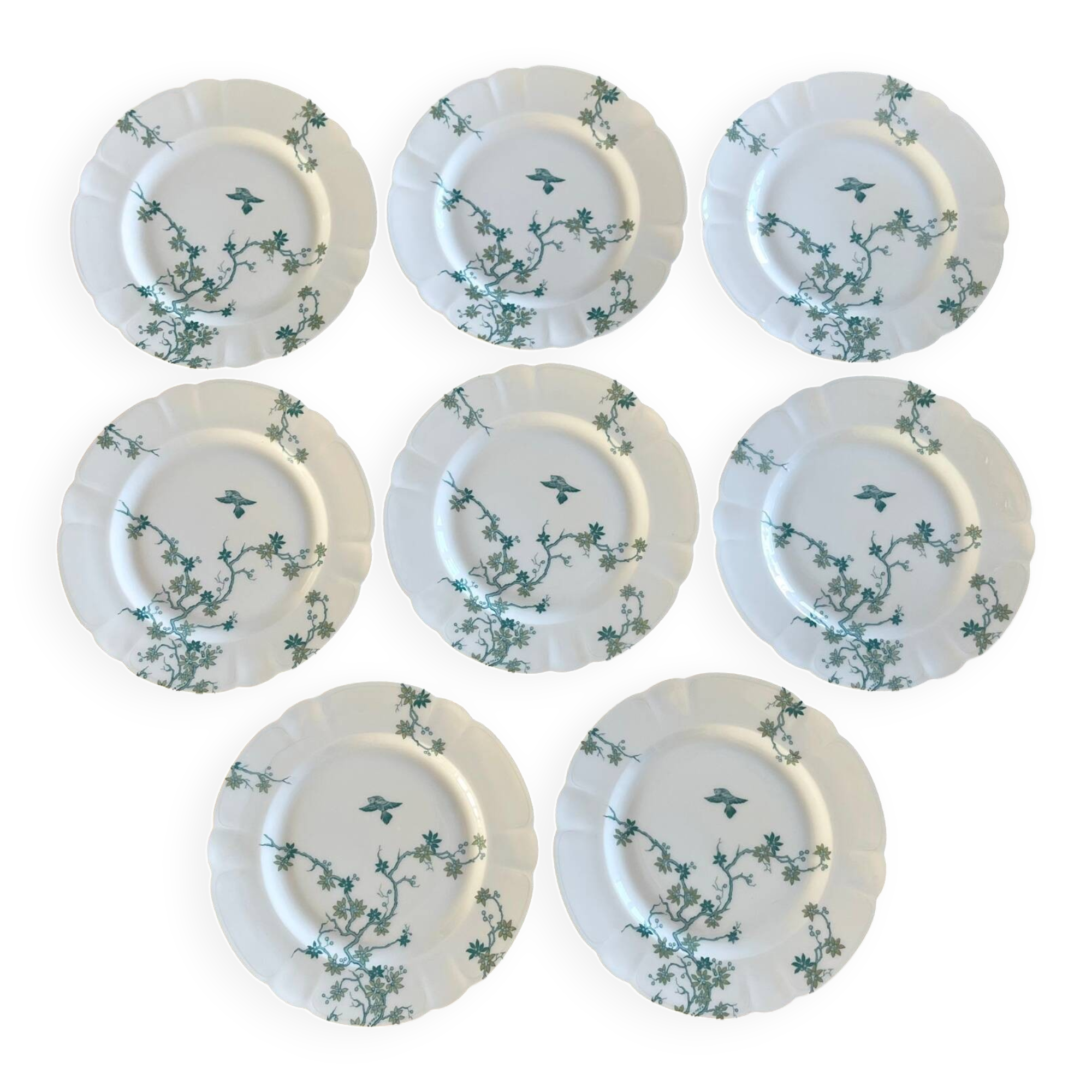8 Haviland Limoges dinner plates.
