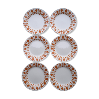 Flat plates Sarreguemines