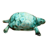 Collectible turtle