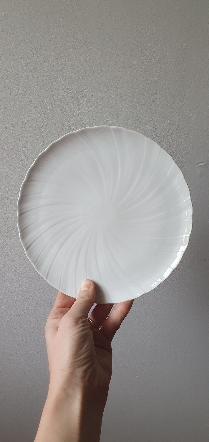 6 dessert plates Bernardaud Palm - Limoges porcelain