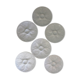 6 assiettes à huitres en porcelaine blanche de la manufacture pillivuyt