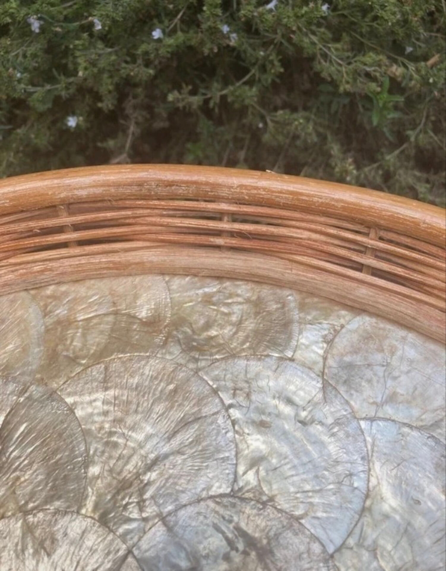 Mother-of-pearl plate