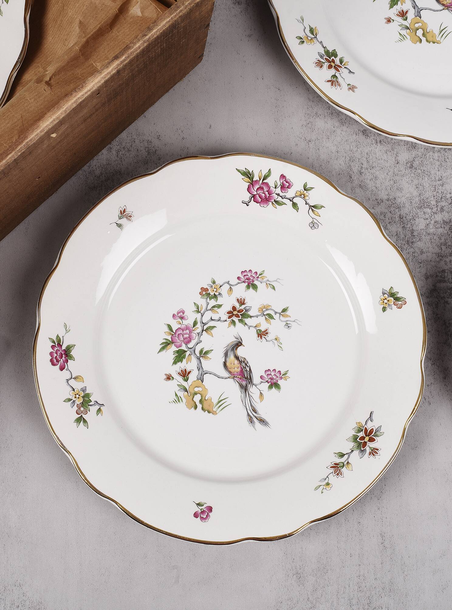 Set of 6 flat plates, Condé de Digoin Sarreguemines model.