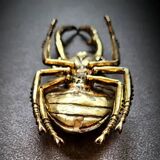 Bronze beetle
