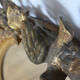 Mirror oval medallion 19th 90x61cm style Louis XVI