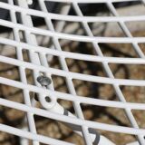 Knoll White Bertoia Chair
