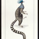 Chimera lithograph engraving animal - the marmoset