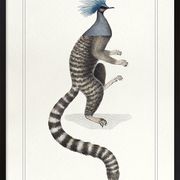 Chimera lithograph engraving animal - the marmoset
