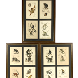 Set of 3 framed panels with 12 engravings from "Le Règne Animal" Georges