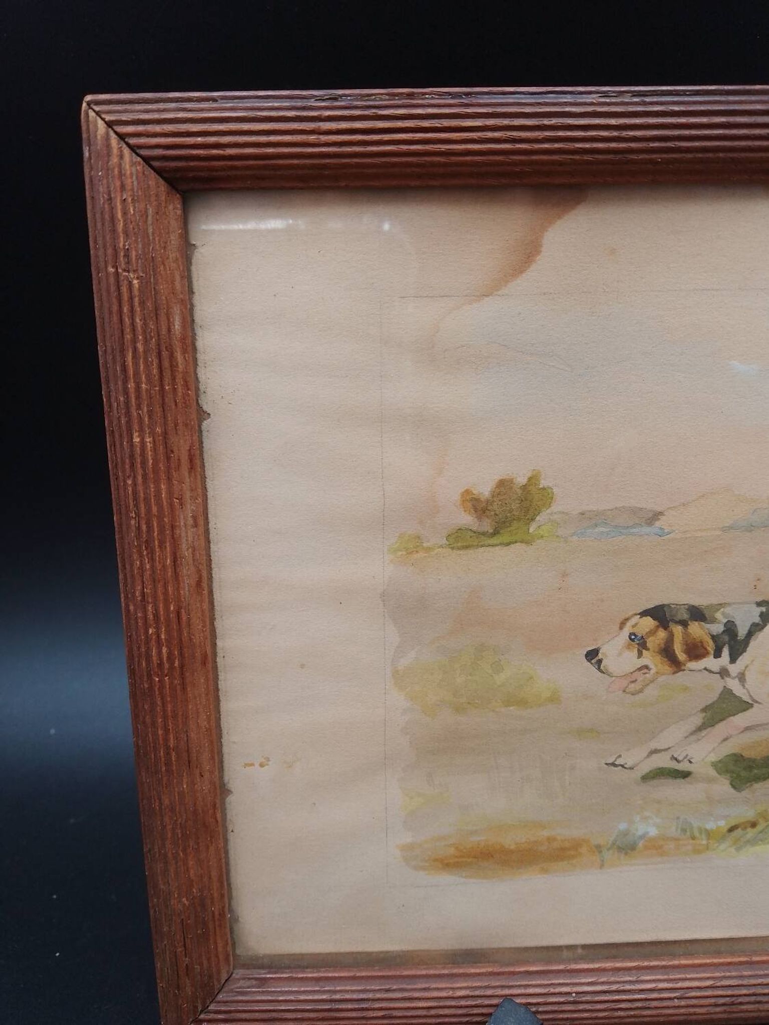Old painting watercolor painting hunting dog signed p giraud