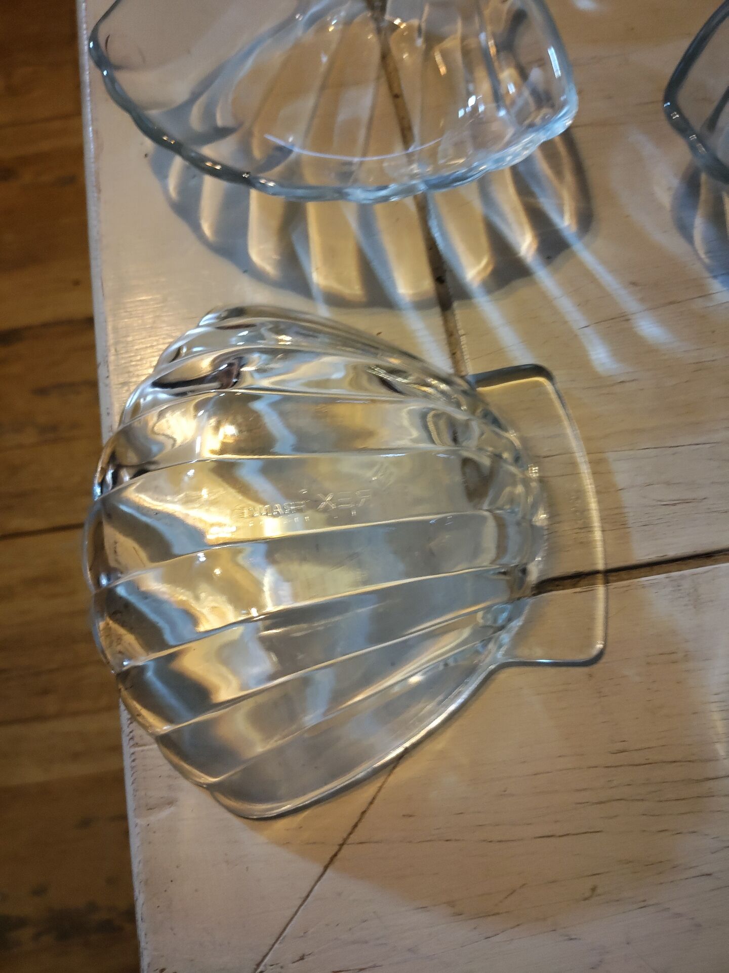 Pack of 6 scallop shells