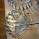 Pack of 6 scallop shells