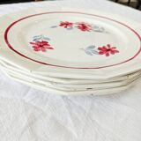 6 flat plates St-Amand Ceranord