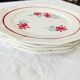 6 flat plates St-Amand Ceranord