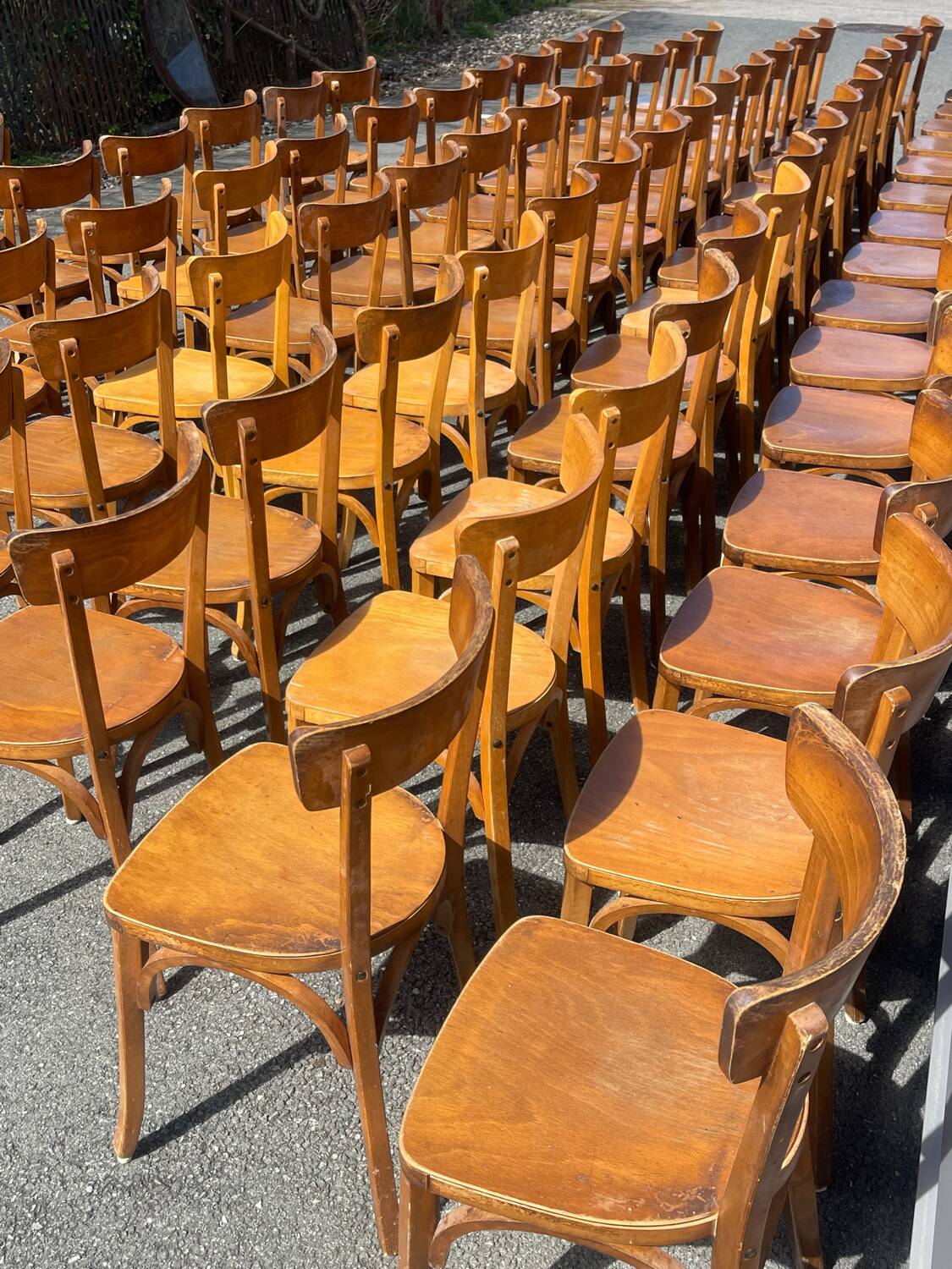 Lot of 60 wooden bistro chairs from the Baumann 1970s