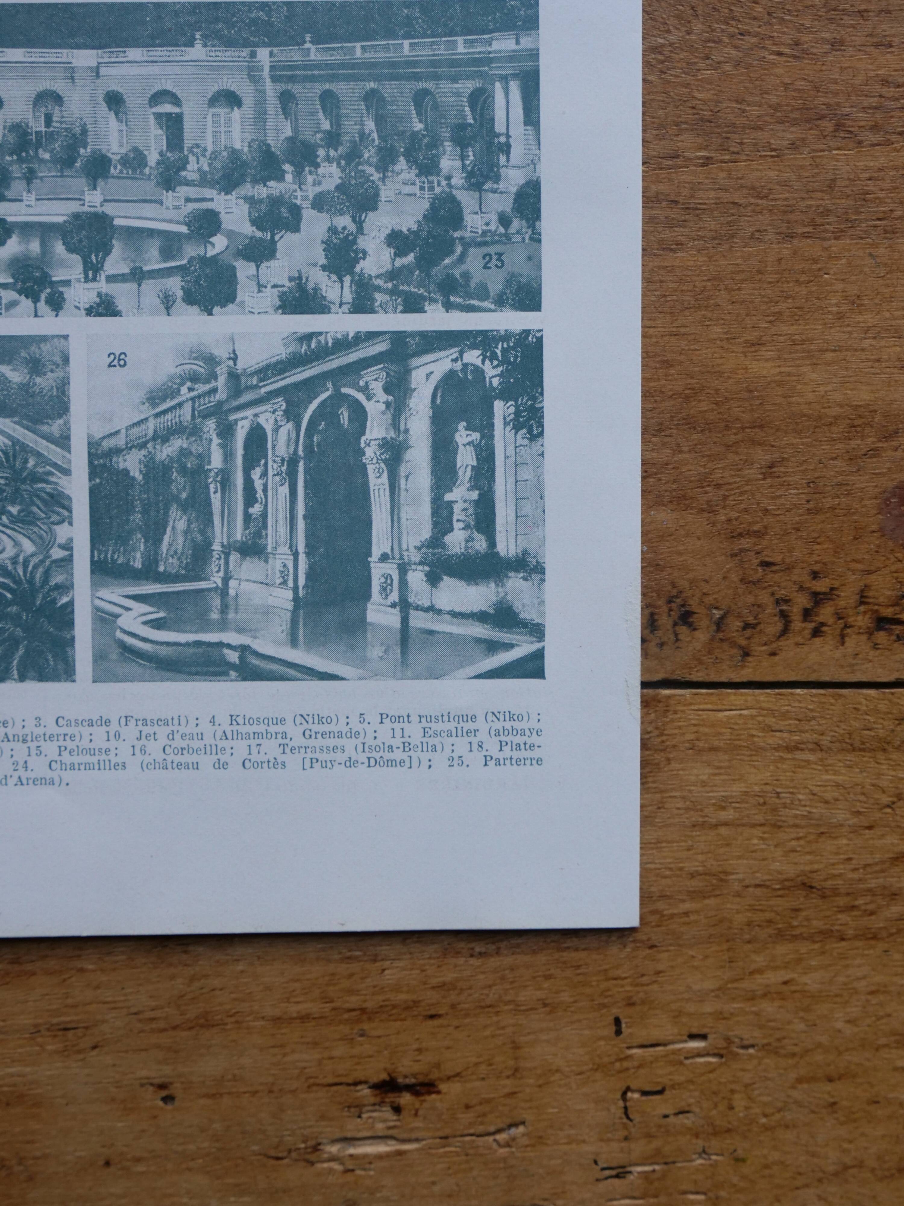 Original lithographs on gardens and ornamental trees