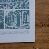 Original lithographs on gardens and ornamental trees