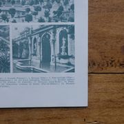 Original lithographs on gardens and ornamental trees