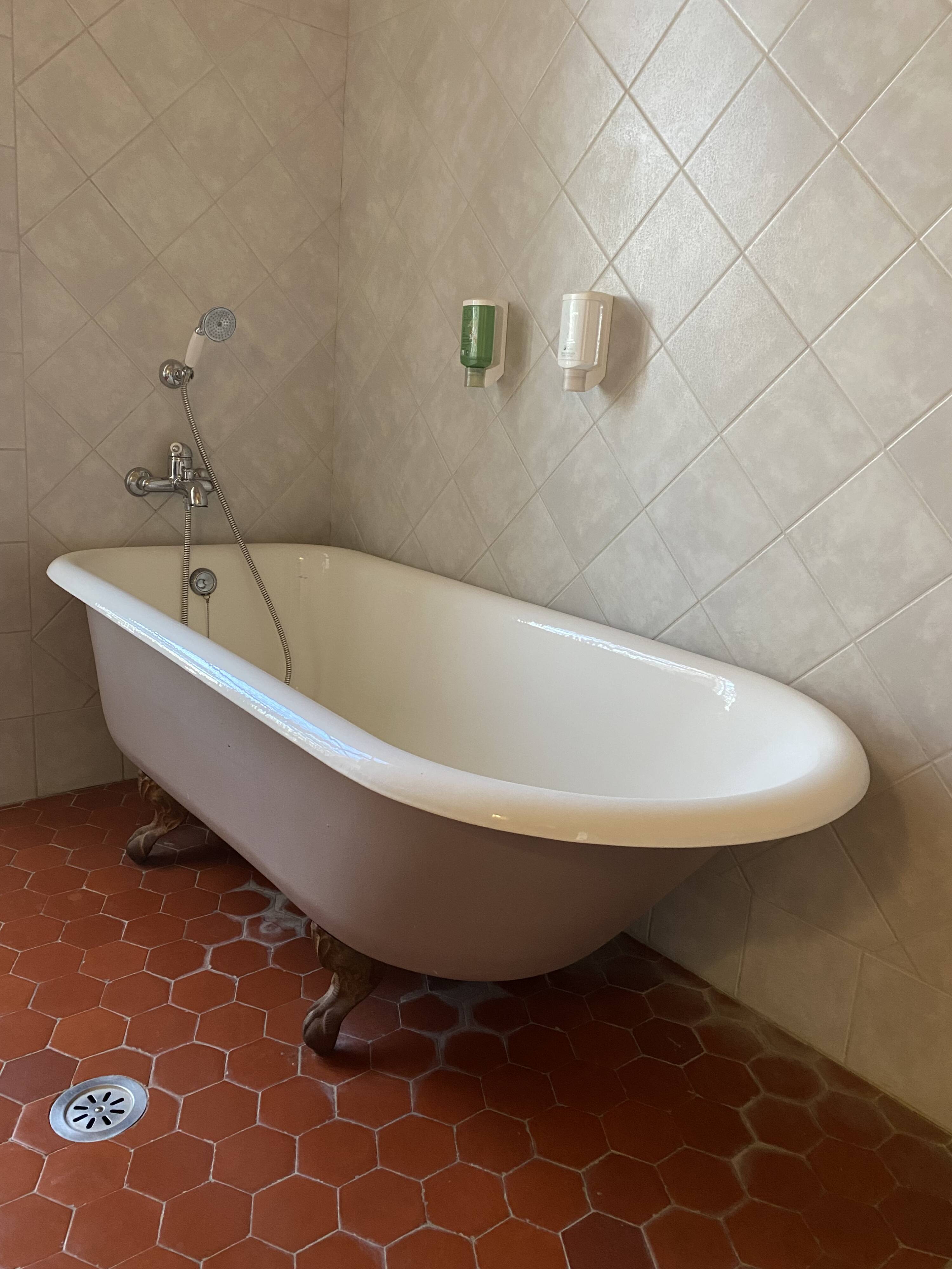 lion paw bathtub