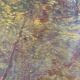 Peinture à l'huile vintage originale paysage forestier