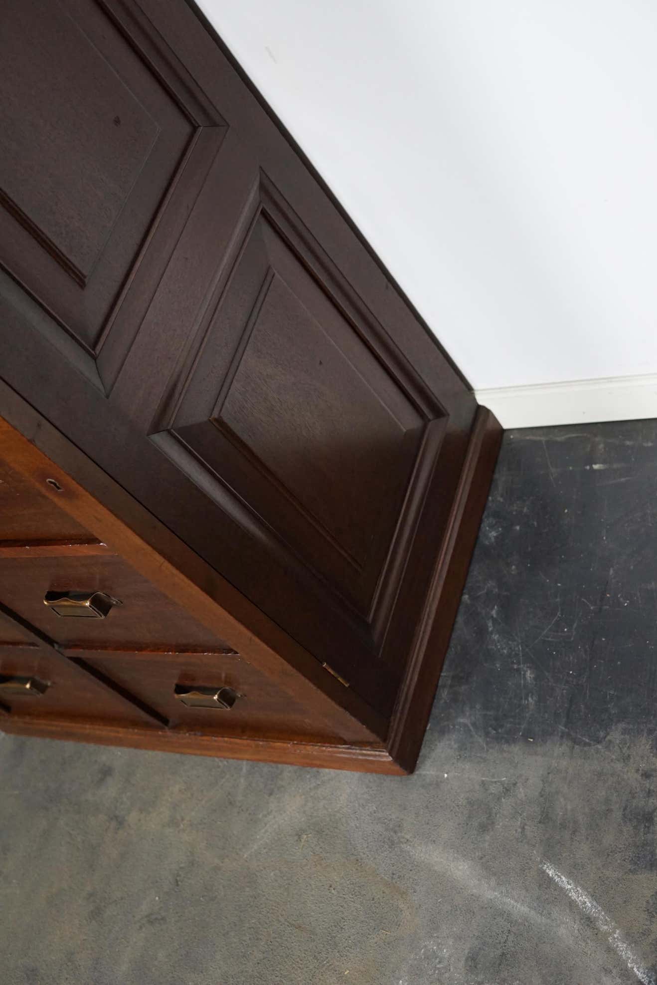 Classification cabinet mahogany drawers Netherlands 1930s