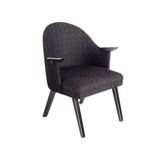 Set of 2 swallow armchairs,1960s