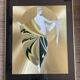 Vintage style Art Deco painting by Carlos Asumendi