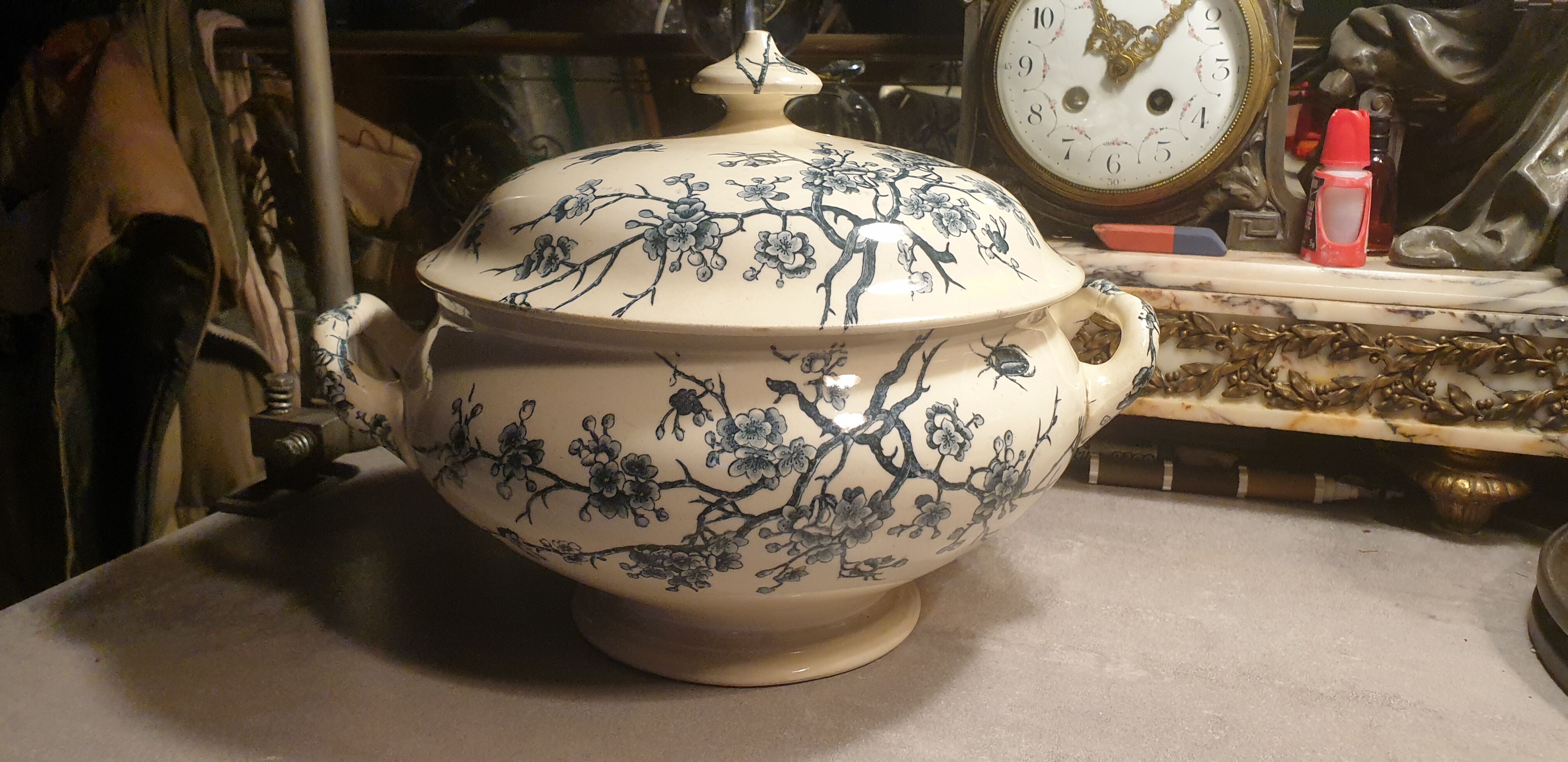 Insect Shoemaker XIXth