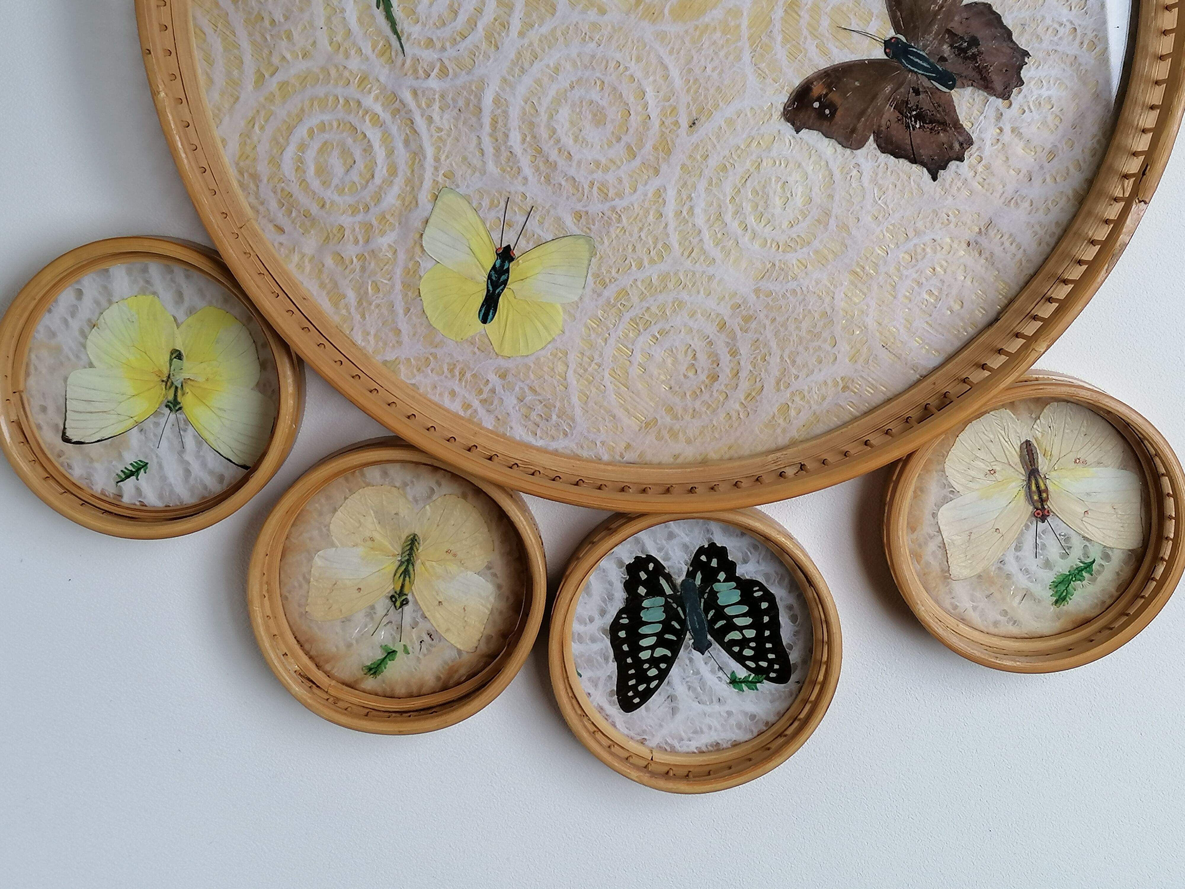 Butterfly rattan tray and coaster