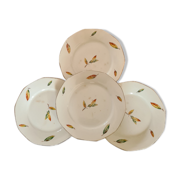 Assiettes plates porcelaine opaque Digoin