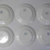 Terre de fer 6 assiettes plates Cyclamen
