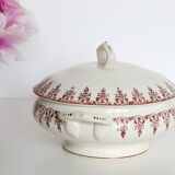 Pretty Red Iron Earth soup