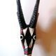 Bongo antelope mask